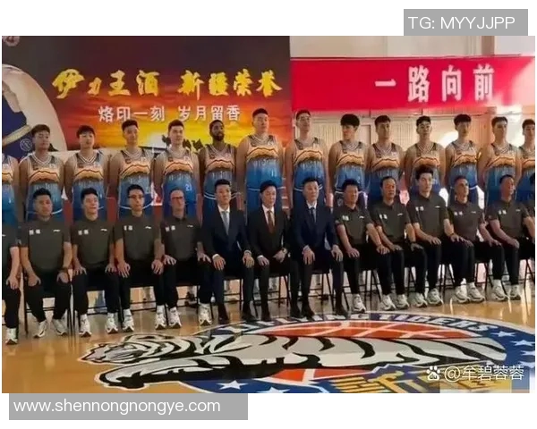 2025赛季CBA各队实力分析与冠军争夺前景预测