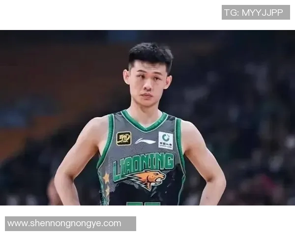 CBA今夏转会潮四十八人次交易引发豪强洗牌与资本博弈解读 CBA今夏转会潮四十八人次交易引发豪强洗牌与资本博弈解读