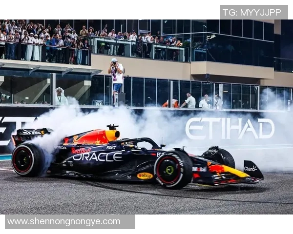 F1赛季车队策略调整与赛道适应性分析及其对成绩影响的深度探讨