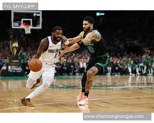 NBA最新评分揭晓球员表现分化强烈是高光时刻还是低迷走势