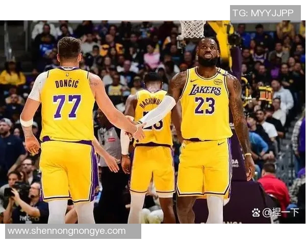 NBA赛季防守端数据分析与球员表现深度解读