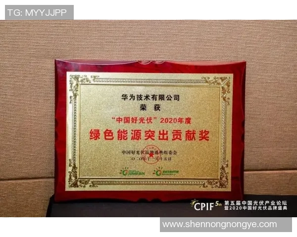 太阳荣膺月度最佳球员奖实至名归展现卓越表现引领球队前行 太阳荣膺月度最佳球员奖实至名归展现卓越表现引领球队前行