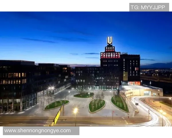 揭秘你未曾了解的多特蒙德:十个令人惊讶的冷知识大盘点 揭秘你未曾了解的多特蒙德:十个令人惊讶的冷知识大盘点