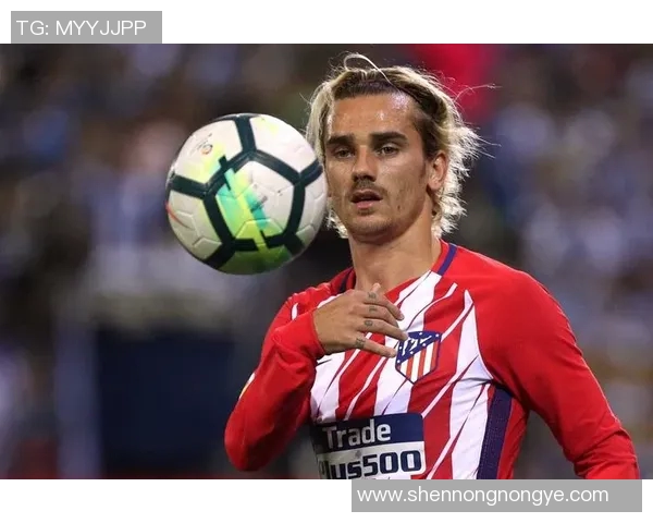 格列兹曼能否冲击金球奖全方位数据对比与深度解析