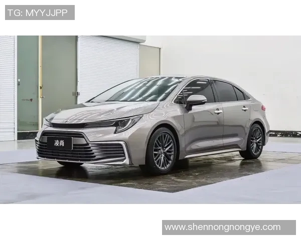 最值得一看的体育纪录片推荐清单 打破极限与挑战自我的精彩故事 最值得一看的体育纪录片推荐清单 打破极限与挑战自我的精彩故事