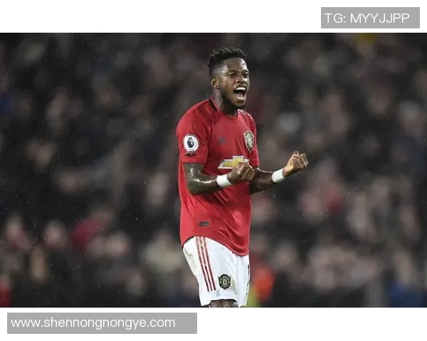 深度解析欧联赛季近况及未来走势全面预测