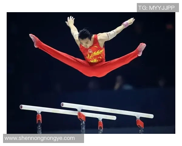 热爱体操超越奖牌荣誉追求全力以赴不负初心