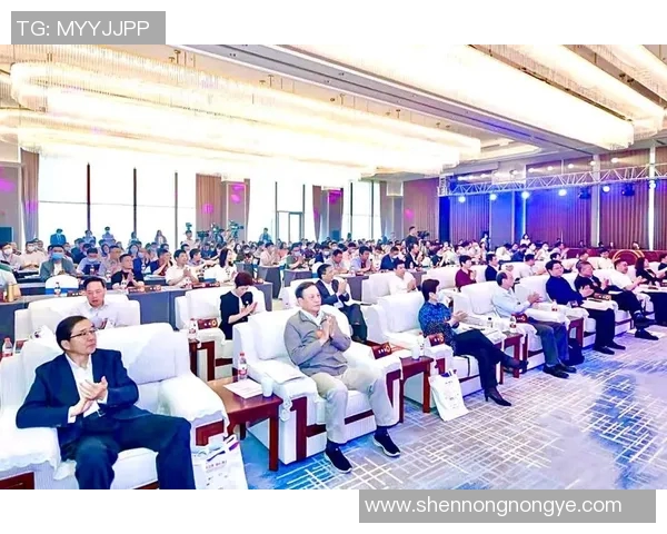 球员经纪人制度深度解析及其对体育行业的影响探讨