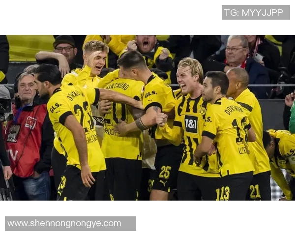 突发！多特蒙德球员宣布离队 球迷深情告别心碎难舍