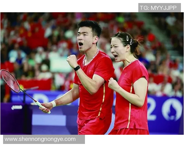 羽毛球混双比赛中的战术配合与技术要点深度分析