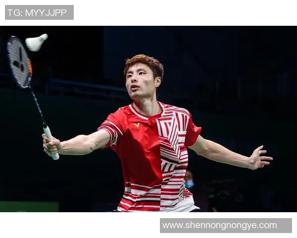 羽毛球顶级赛事焦点解析参赛选手状态追踪及赛程全面观察