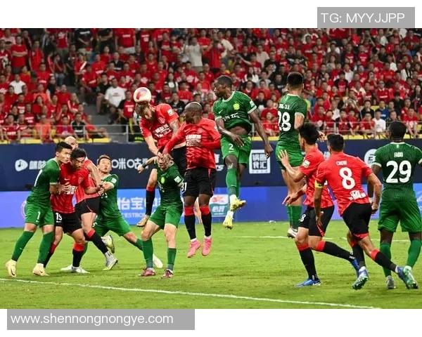 足球世界杯球队体能分布特点与科学恢复策略研究探讨