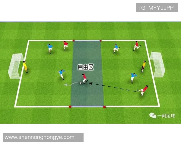 足球青训球员心理素质长期跟踪与干预机制研究探索