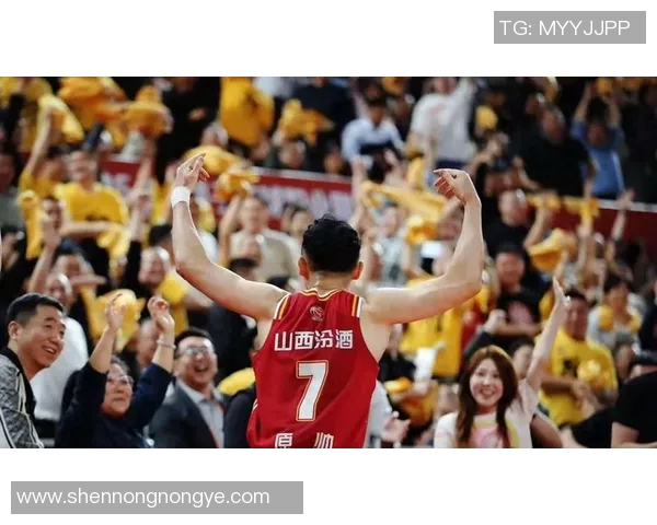 CBA赛场上的感人时刻镜头定格那一刻温情与汗水交织