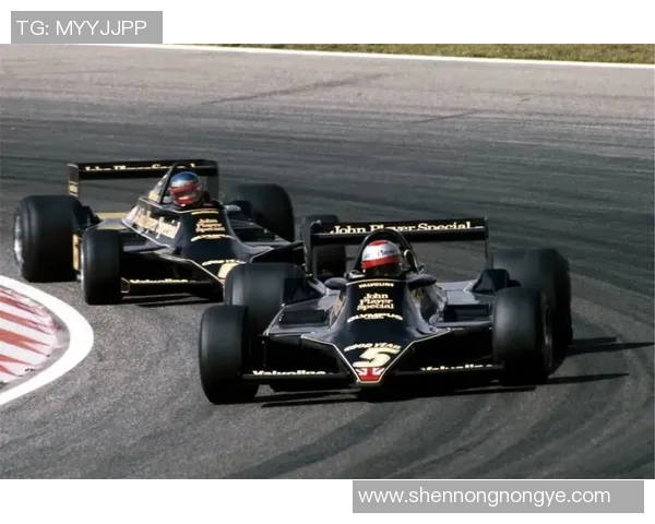 F1车队车手更替对赛季成绩的影响及其深层原因分析