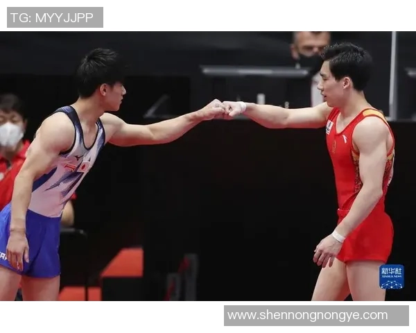 体操选手比赛间隙心理调节机制研究：策略与应对方式