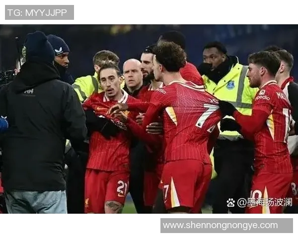 利物浦赛场爆发小插曲裁判迅速处理引发热议