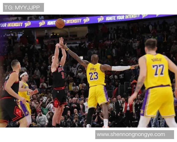 热搜榜第一！湖人因一举动刷屏全网