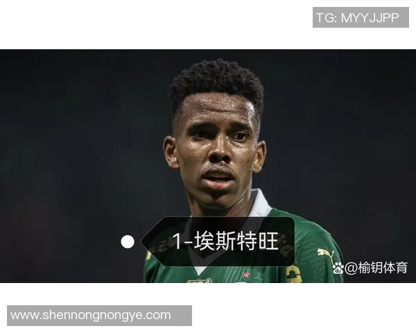 足球最新动态:转会窗口关闭前的最后交易 足球最新动态:转会窗口关闭前的最后交易