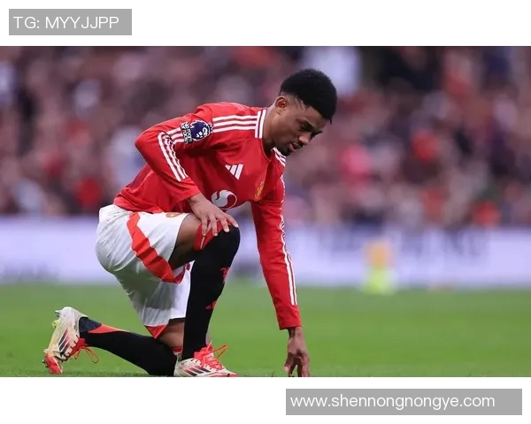 欧联社媒发声回应争议事件 欧联社媒发声回应争议事件