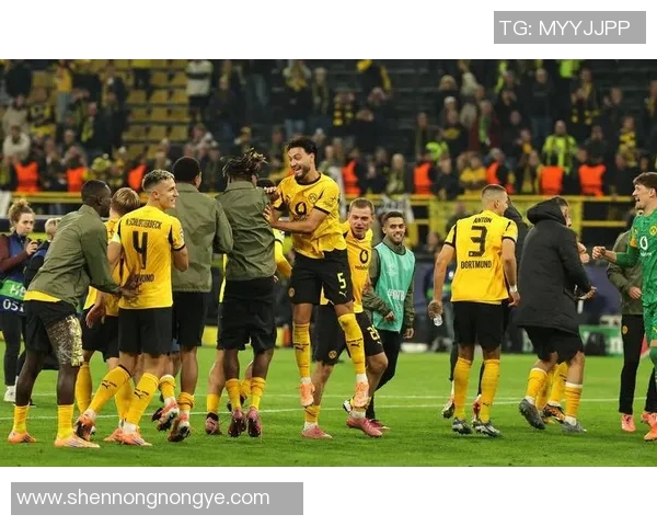 多特蒙德亲承：曾考虑离开球队