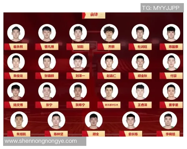 CBA球队赛季阵容调整及战绩影响