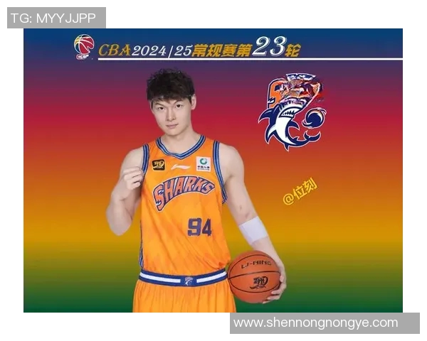 CBA联赛最佳外援引进对球队影响分析