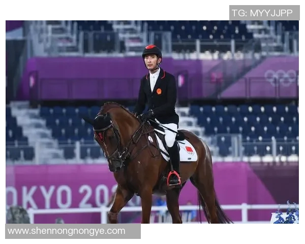 中国马术队首次获得奥运团体赛资格,历史性突破 中国马术队首次获得奥运团体赛资格,历史性突破
