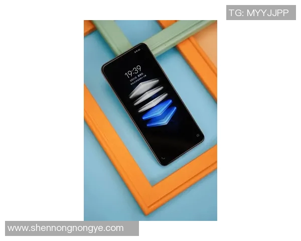 五年对比：独行侠数据全面进化！