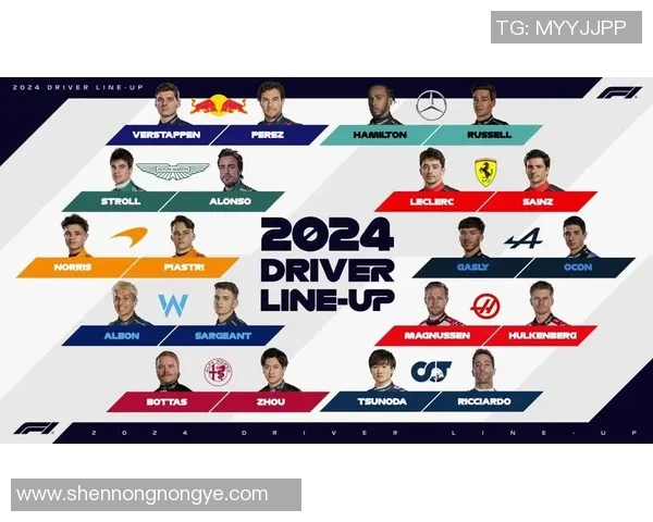 F1赛季车队排名及车手表现总结