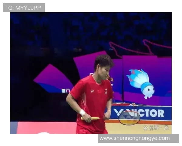 羽毛球赛事热门裁判员判罚风格介绍