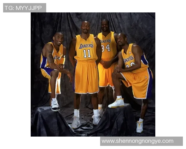 NBA 球队薪资结构平衡性与团队合作表现之间的关系