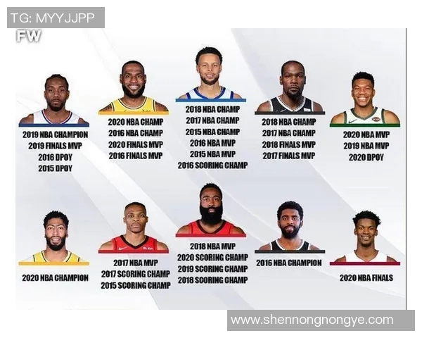 NBA 球员个人荣誉与团队冠军之间的权衡趋势研究