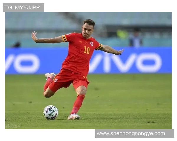 数据模型预测欧洲杯冠军胜率揭秘深度分析与趋势洞察 数据模型预测欧洲杯冠军胜率揭秘深度分析与趋势洞察