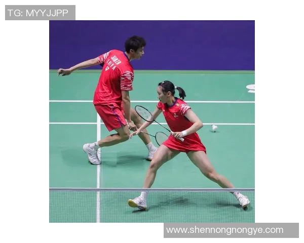 羽毛球混双比赛中技战术特点及其有效应用策略分析